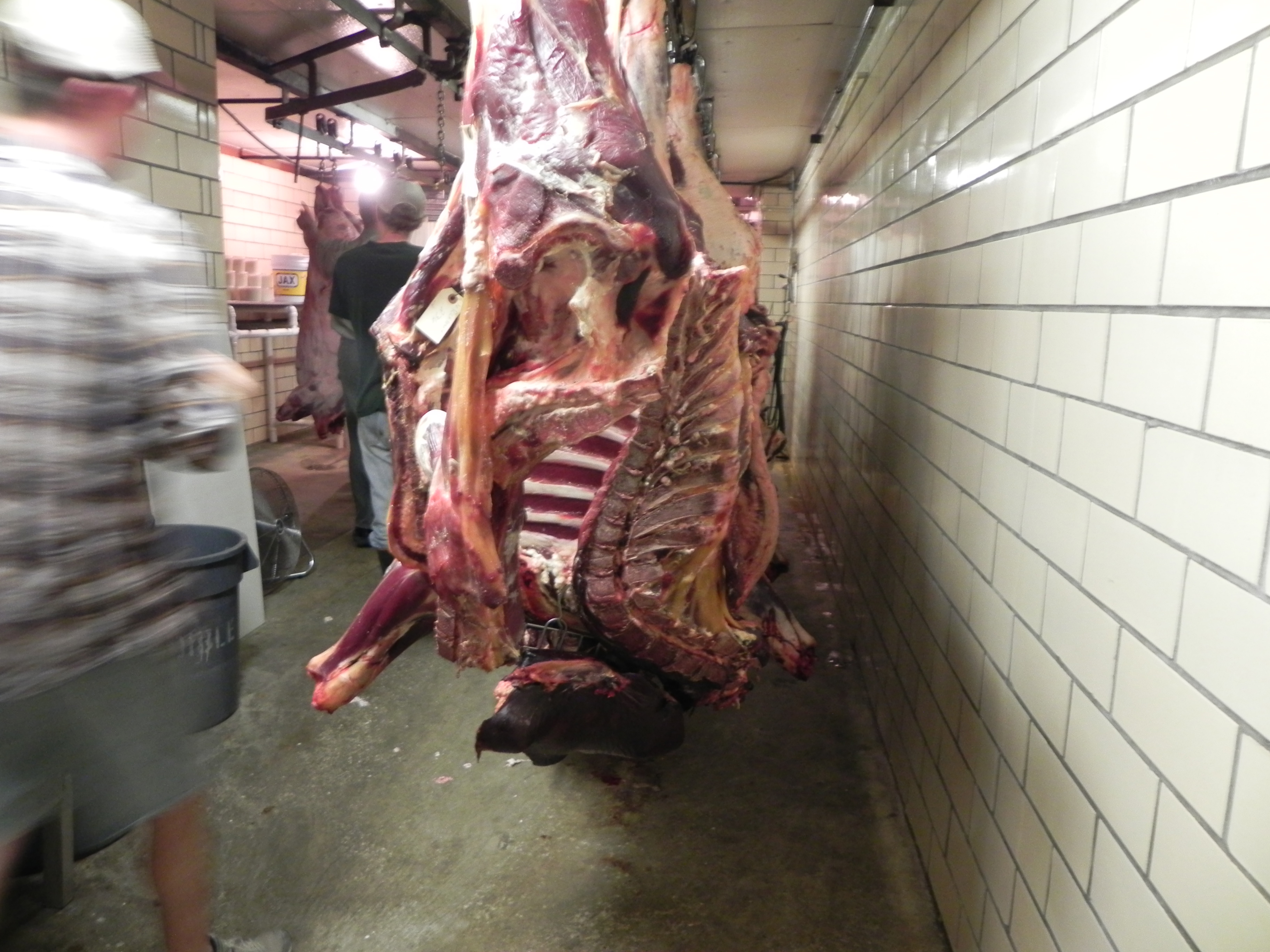 Alfândega | Autoridades detêm traficantes de carne
