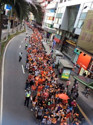 animais manifestação