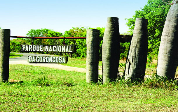 Moçambique | História do Parque de Gorongosa na Torre de Macau