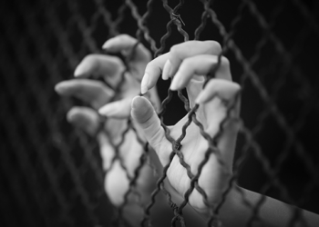 Tráfico humano | Números de casos caiu em 2014