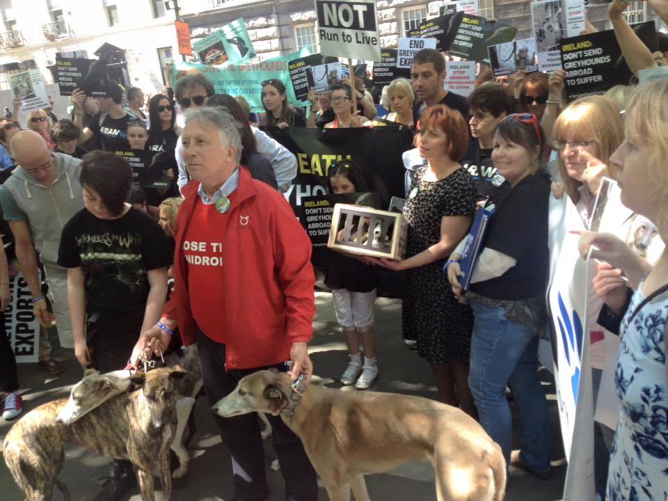 Galgos | ANIMA pondera manifestação para impedir que Yat Yuen recupere os cães