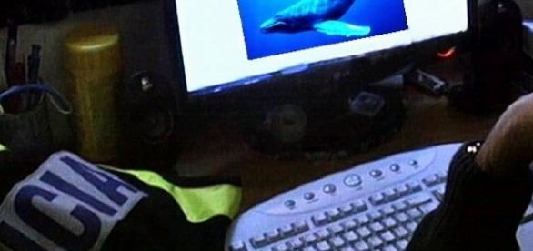 China | Polícia reforça vigilância à “baleia azul”