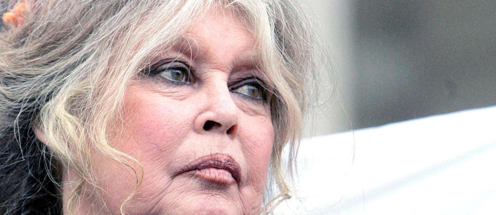 Brigitte Bardot pede a Chui Sai On que galgos sejam entregues à ANIMA