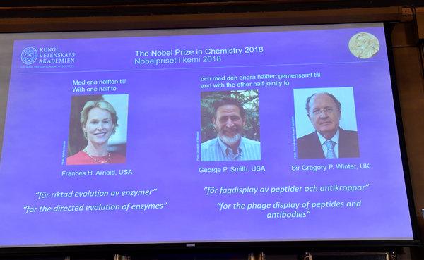 Nobel da Química atribuído a dois norte-americanos e um britânico pelo desenvolvimento de proteínas