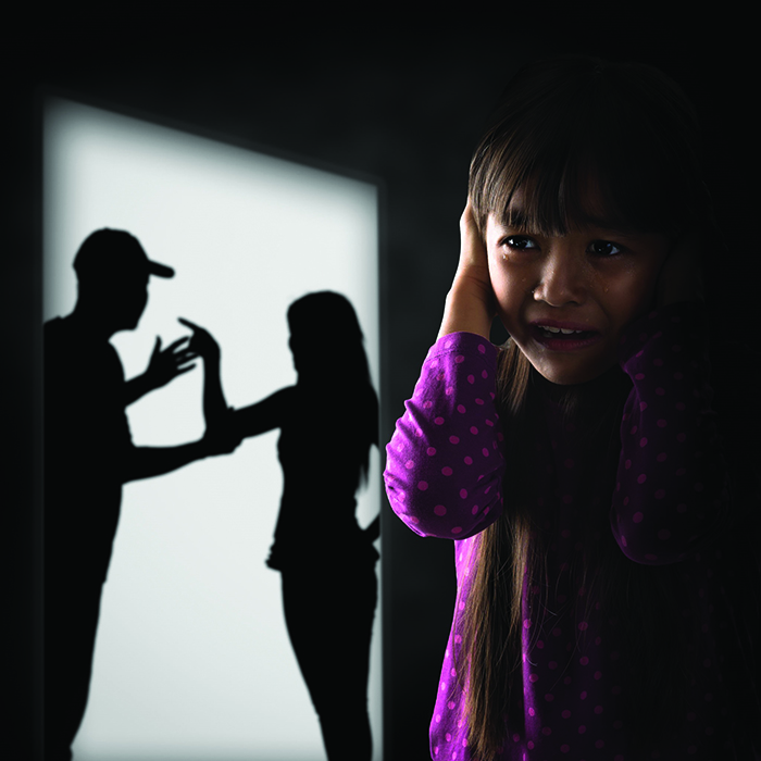TJB | Admitidos 15 casos de violência doméstica desde 2016