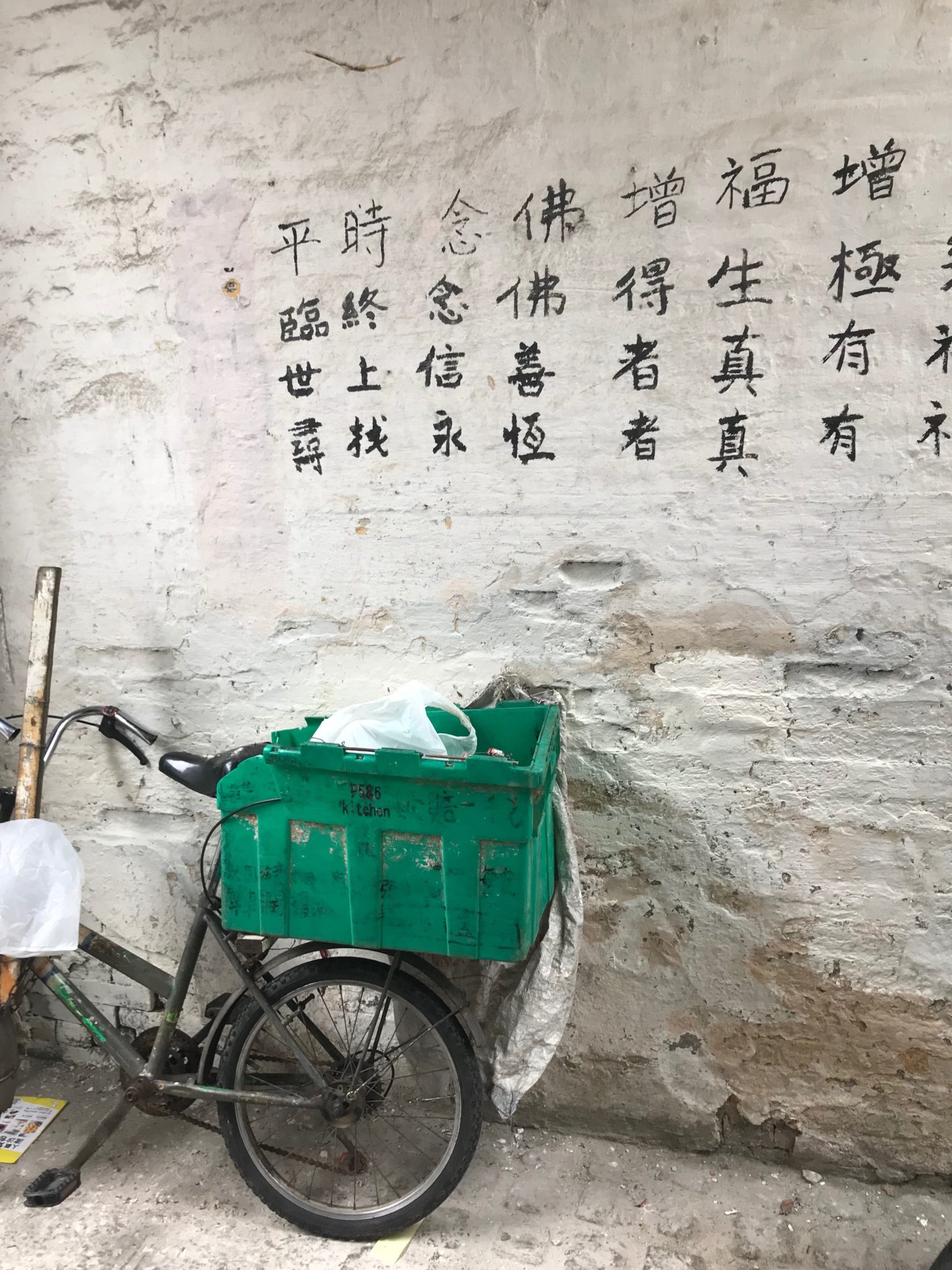 China | Empresa de partilha de bicicletas considera abrir falência