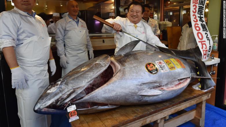 Atum rabilho vendido em Tóquio por mais de 300 milhões de ienes