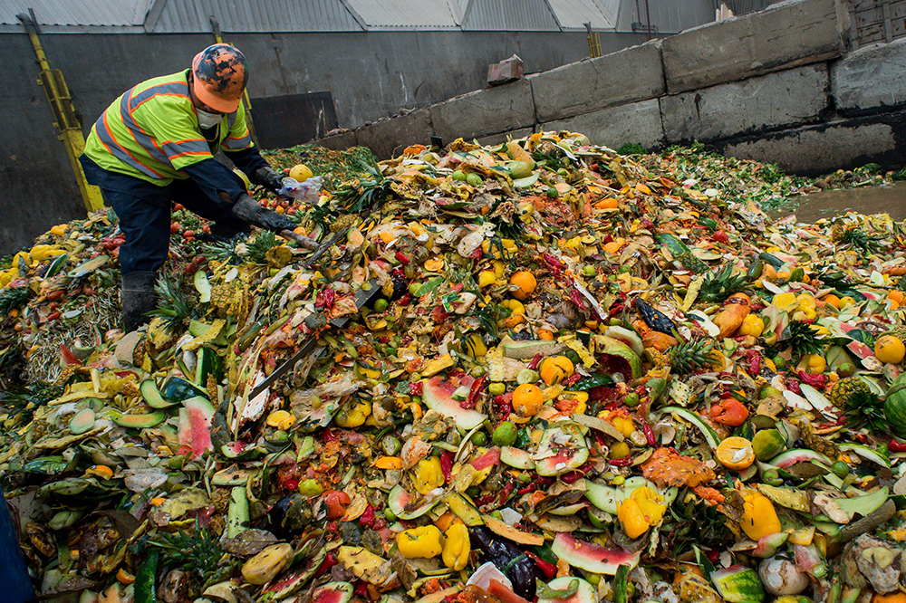 Os resíduos orgânicos e o desperdício alimentar