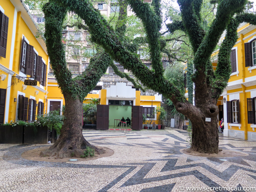 Albergue SCM | Lanternas do coelhinho em exibição a partir de amanhã