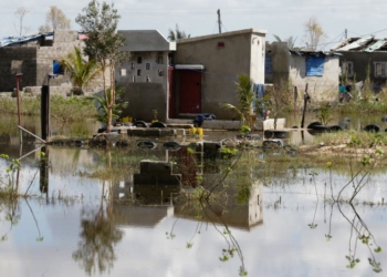 Idai: Buzi, em Moçambique, secou e renasce das cheias anunciadas por uma corrente de bois e cabritos