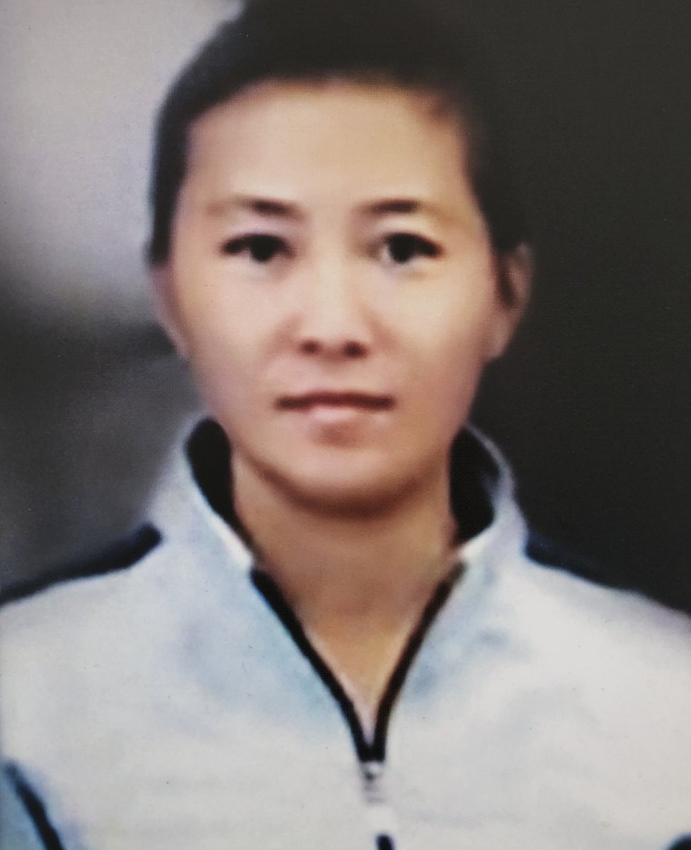 Mulher que fugiu da Coreia do Norte morre de fome em Seul