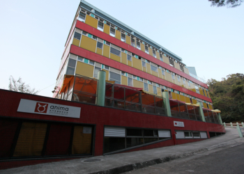 ANIMA exige nova consulta pública para rever lei de protecção dos animais