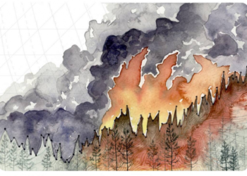 A 25.ª Conferência Internacional do Clima (I)