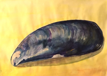 As leis e o mexilhão