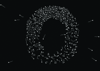 A crise da fertilidade masculina