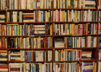 Demis Roussos em livro