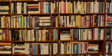 Demis Roussos em livro