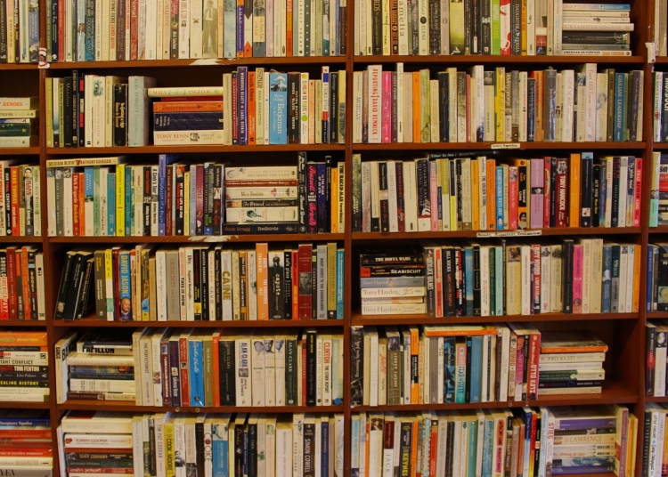 Demis Roussos em livro