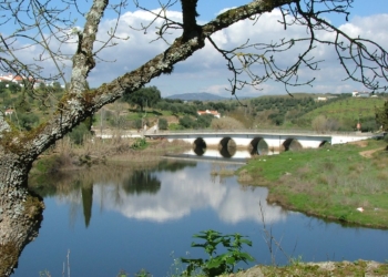 O meu primeiro primeiro de Maio
