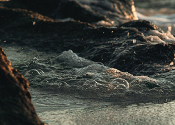 As alturas da vida I