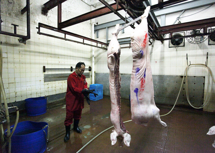 PJ | Investigado caso de corpo de um bebé encontrado perto do Wynn