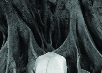 Holandeses voadores – III