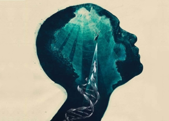 A evolução às bolinhas