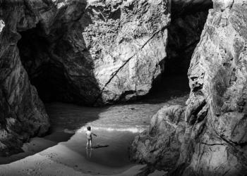 Holandeses voadores – V