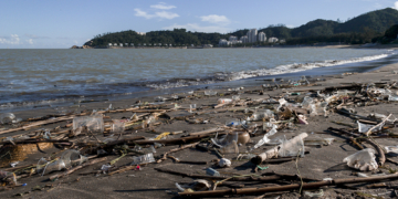 Encontradas 239 garrafas de plástico na costa de Macau