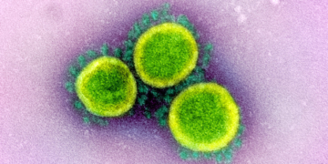 No limiar da vacina II