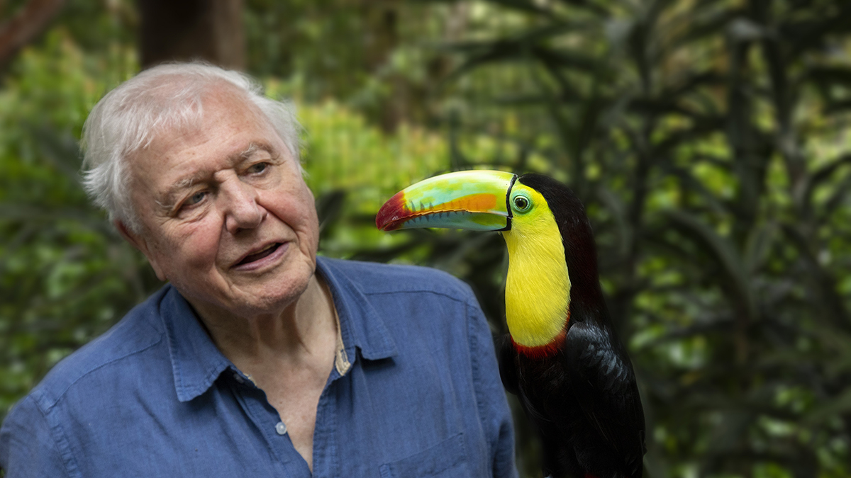 David Attenborough – Uma vida em defesa do mundo natural