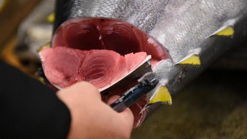 Atum vendido por 165 mil euros no primeiro leilão do ano em Tóquio