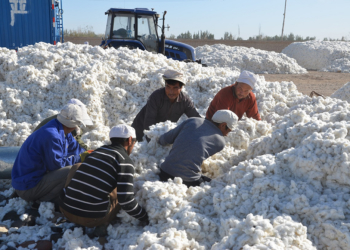 Xinjiang | Organizações locais respondem às sanções e boicotes ocidentais