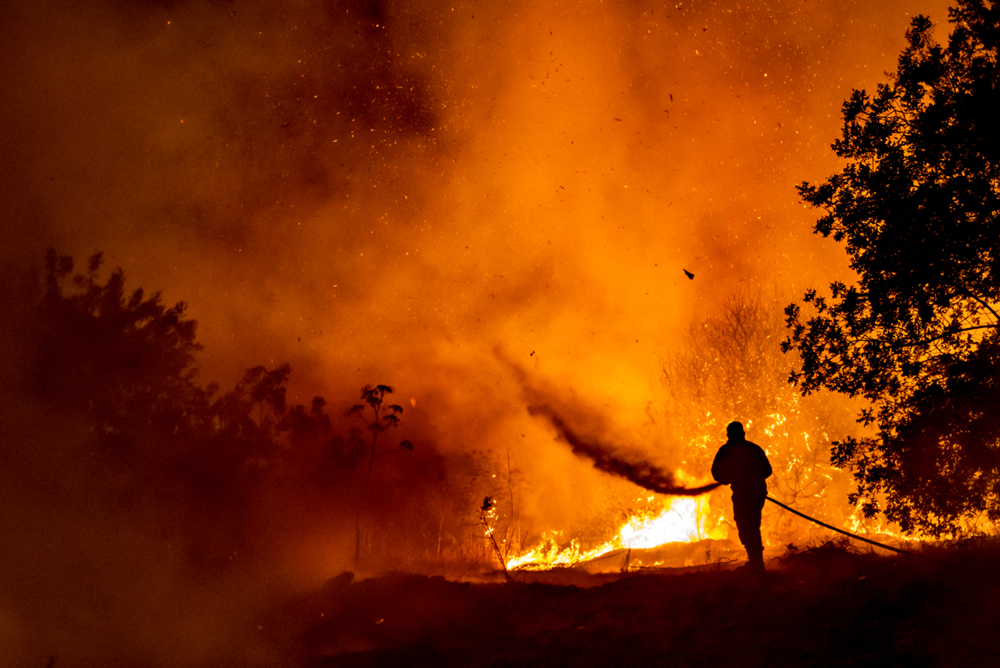 Apague o fogo com um balde de água. incêndios florestais no verão