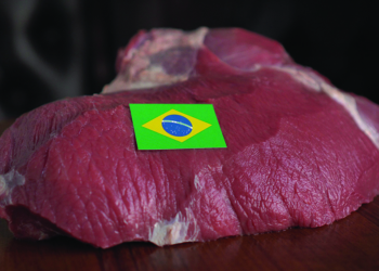 IAM ordenou suspensão da importação de carne congelada do Brasil