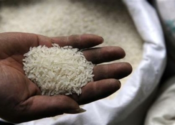 Vietname e Tailândia vão trabalhar para aumentar preço internacional do arroz