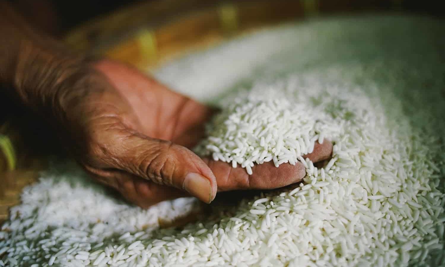 Cabo Verde | China doa 1.042 toneladas de arroz ao arquipélago africano