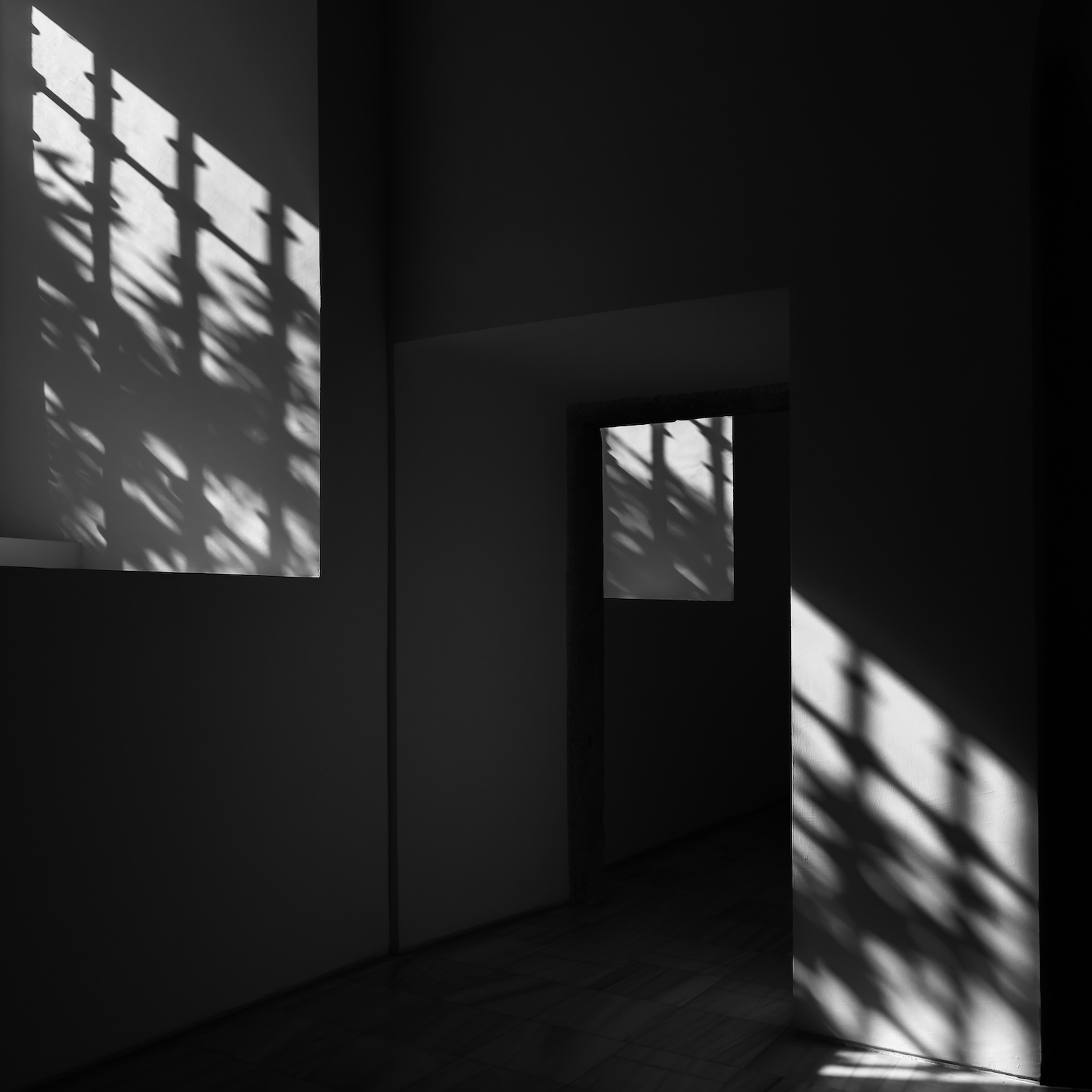 Fotografia | “Seeing the Light” é o novo livro de Francisco Ricarte