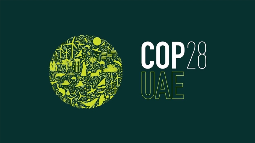 COP28 – A raposa na capoeira