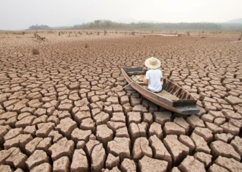 O homo sapiens, as alterações climáticas e a biodiversidade (continuação)