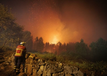 Tragédia nacional – Os fogos são um negócio