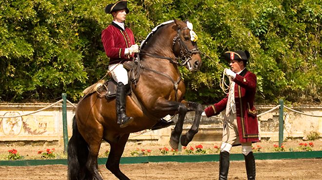 Arte Equestre Portuguesa propõe-se a Património Imaterial da UNESCO