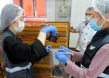 IAM | Mais de 60 produtos com facilidades de exportação