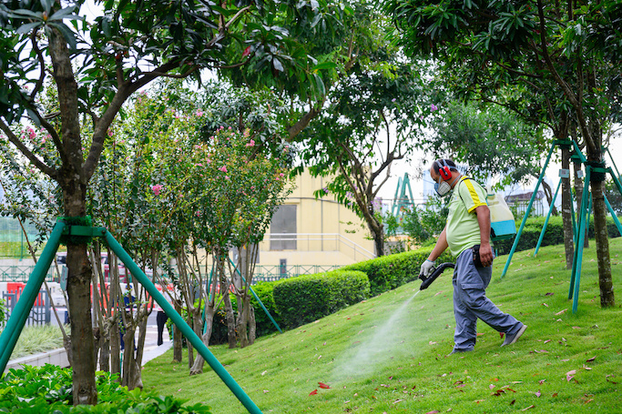 Chikungunya | Diagnosticado quinto caso importado
