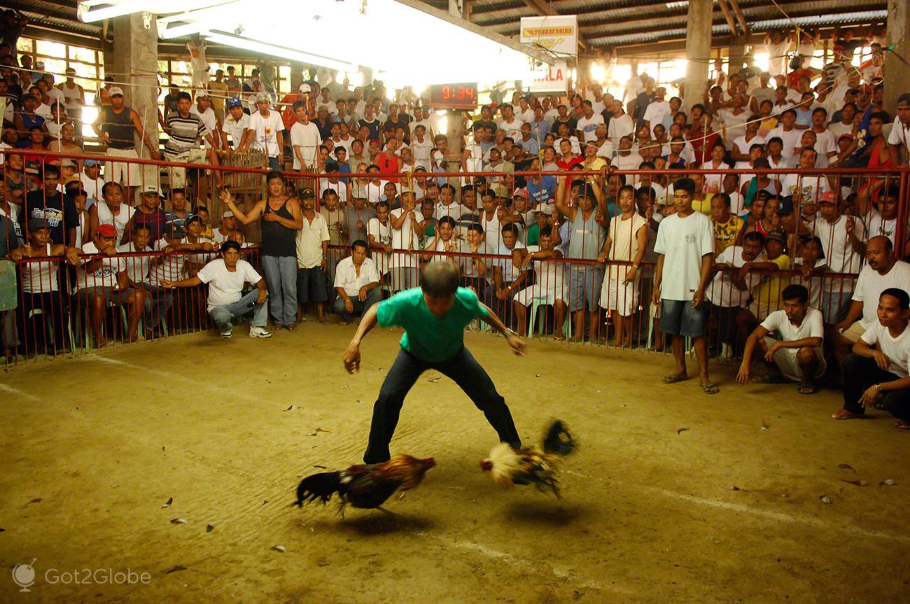 Quinze polícias filipinos detidos por desaparecimento de apostadores de lutas de galos