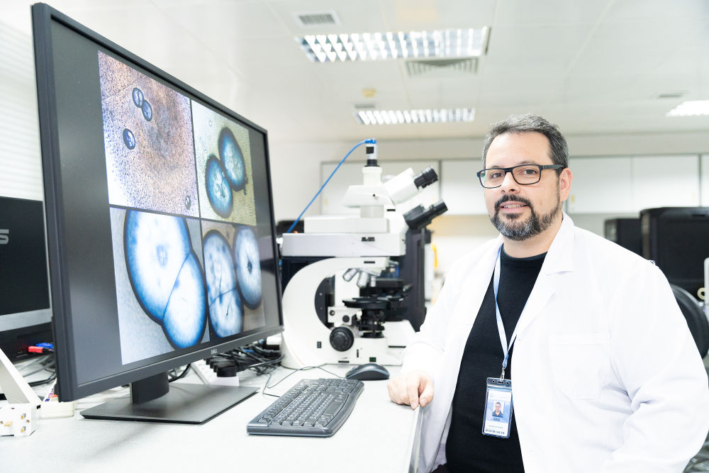 USJ | Investigadores descobrem nova espécie de bactéria em Portugal