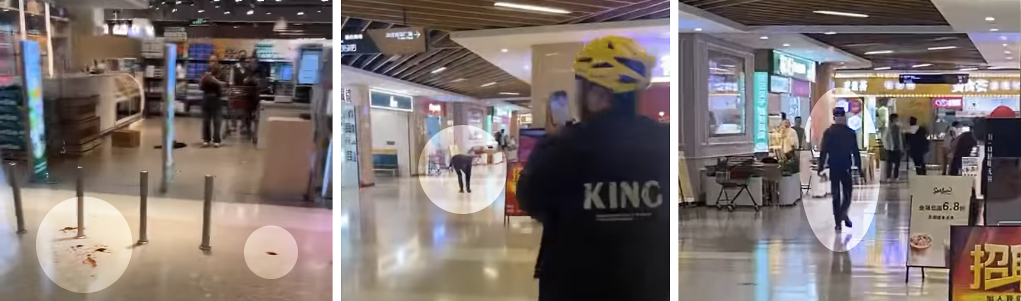 Hengqin | Polícia investiga ataque à faca no Legend Ponto