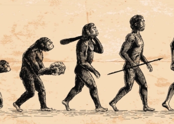 Evolução | Genomas africanos apontam origens da espécie humana