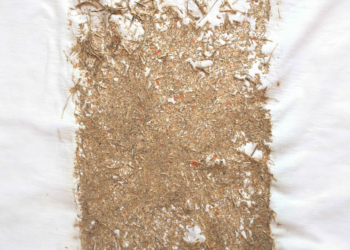 Armazém do Boi | Três artistas apresentam novas visões sobre Macau