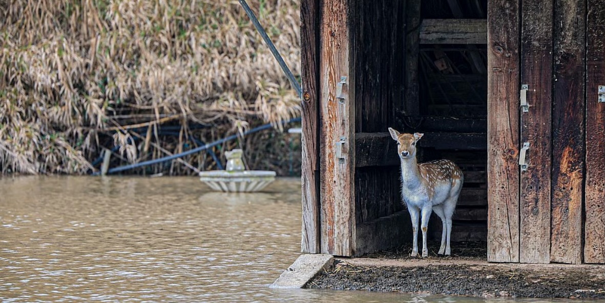 Mudanças climáticas para inglês ver